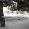 la grande nevicata del febbraio 2012 037
